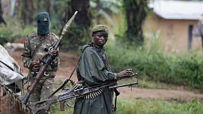 RDC: La guerre a l’est de  la RDC, cause de  la  perte de  l’écosystème  congolais.
