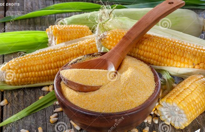 RDC: Magloire Tsongo appelle le gouvernement  à “subventionner” les producteurs locaux de la farine de maïs (Etude)