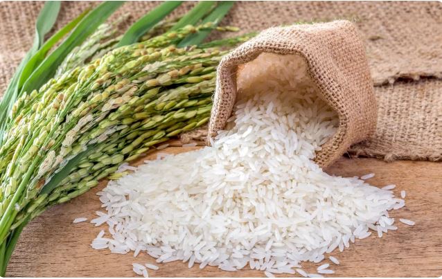 Goma: Quelle préférence entre le riz local et le riz Importe?, une étude Universitaire donne des Précisions