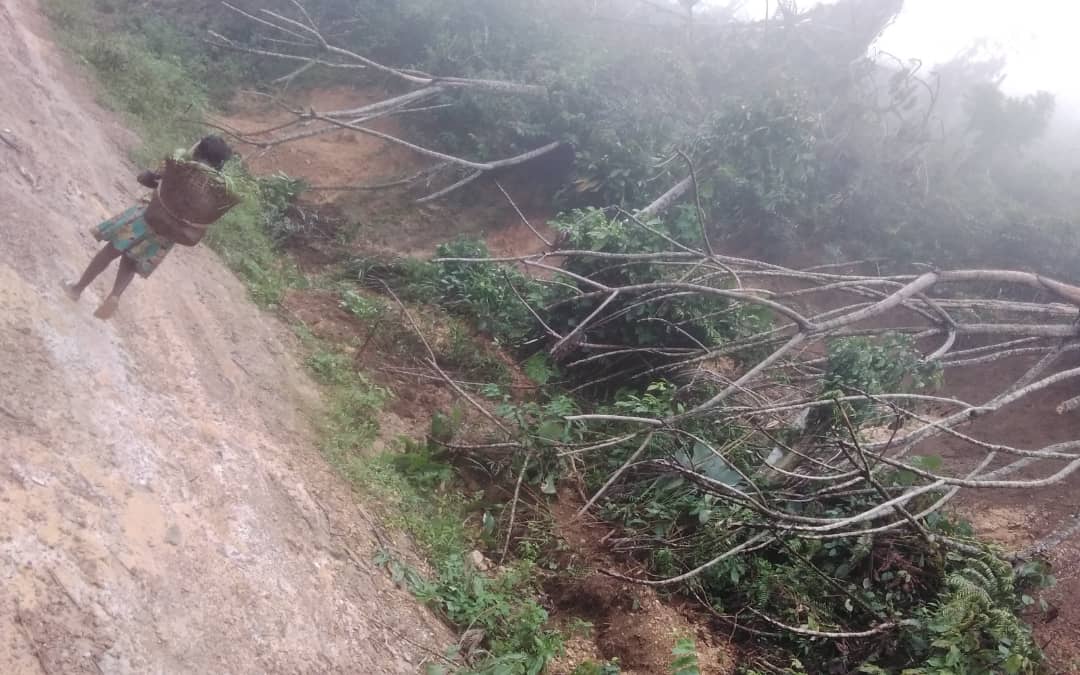 Walikale: un glissement de terre dévaste plusieurs champs à Binyampuri