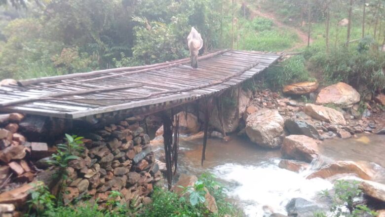 Lubero : Le  groupement Lughongo bientôt  coupé  du reste du territoire    par  l’effondrement du  pont Ndotwe.